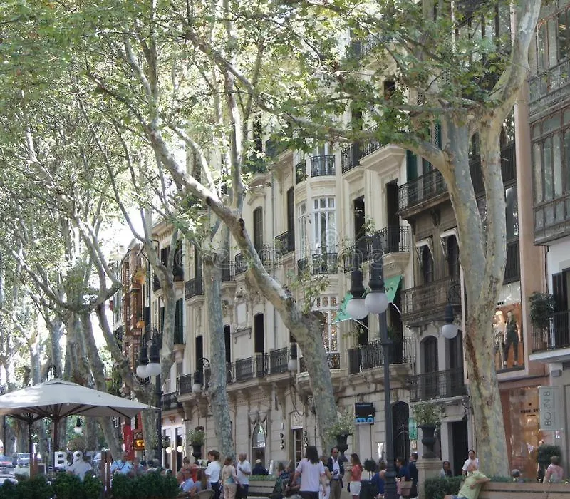 Rambla Palma Center-1