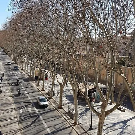 Rambla Palma Center-2